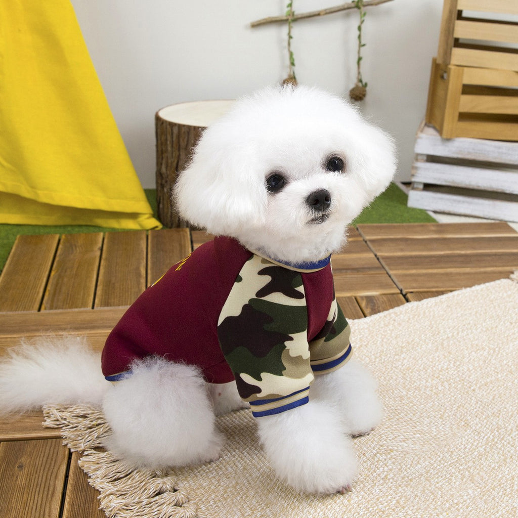 Winter Dog Hoodie Small Dogs Plush Sweater_CWMM12275