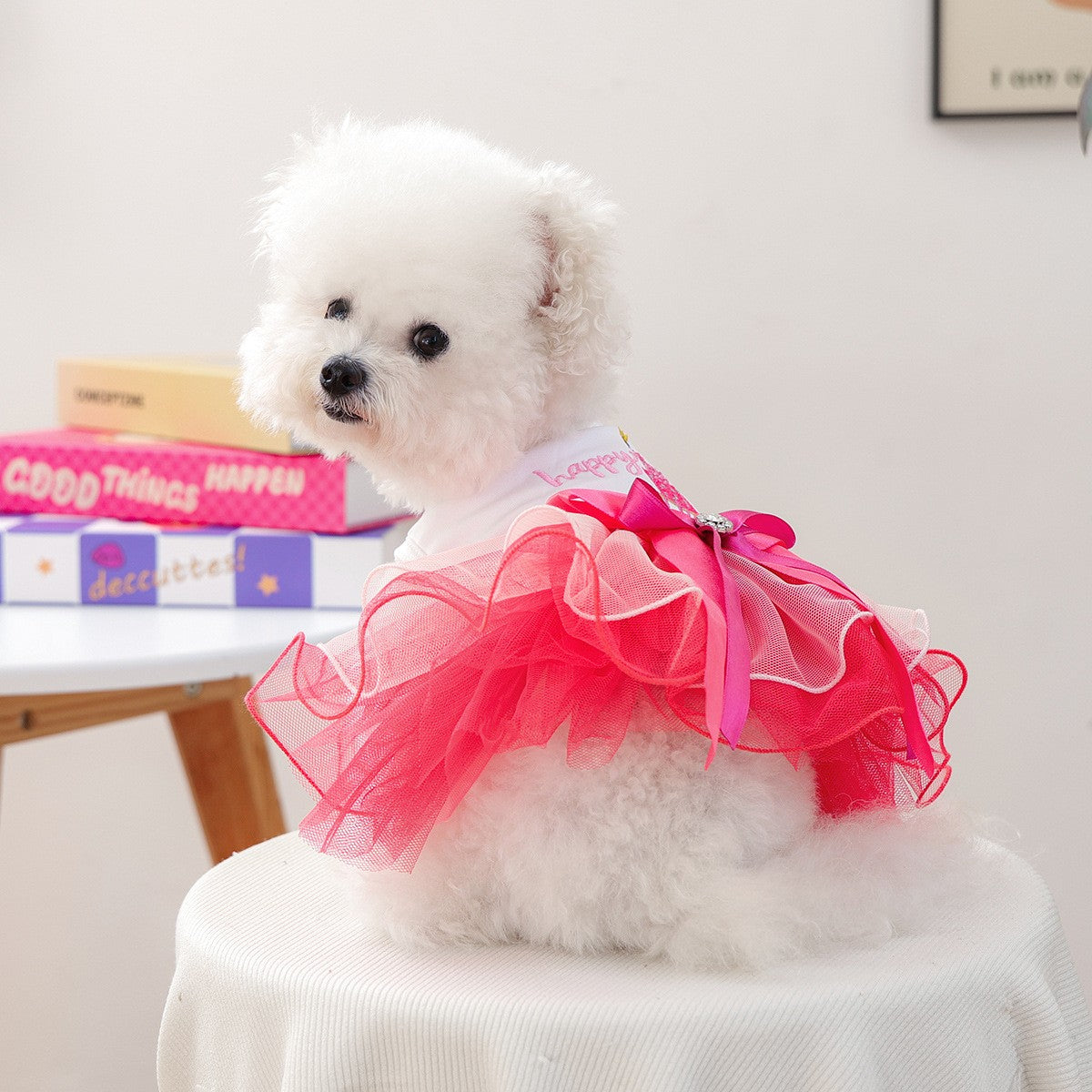 Puppy Kitten Warm Puff Dress Outfit_CWMM13040