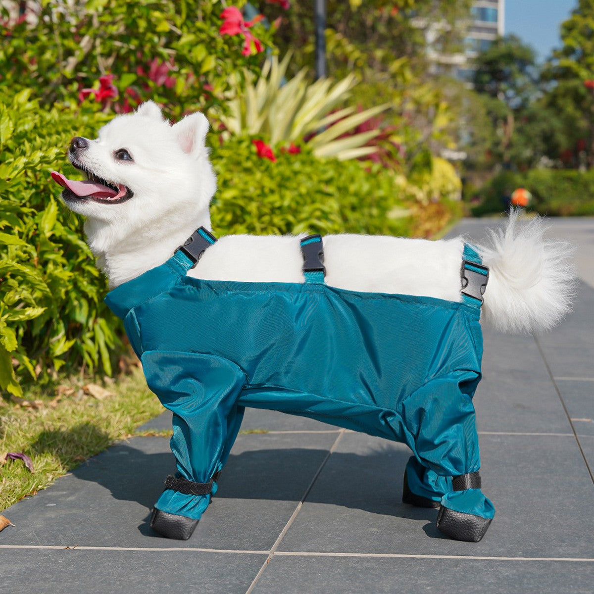 Pet Outdoor Pants – Dog Rainwear for Small Dogs_CWMM11087