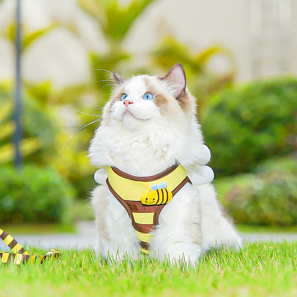 Bee Pet Harness Set – Cute Dog Cat Leash Outfit_CWMM11161