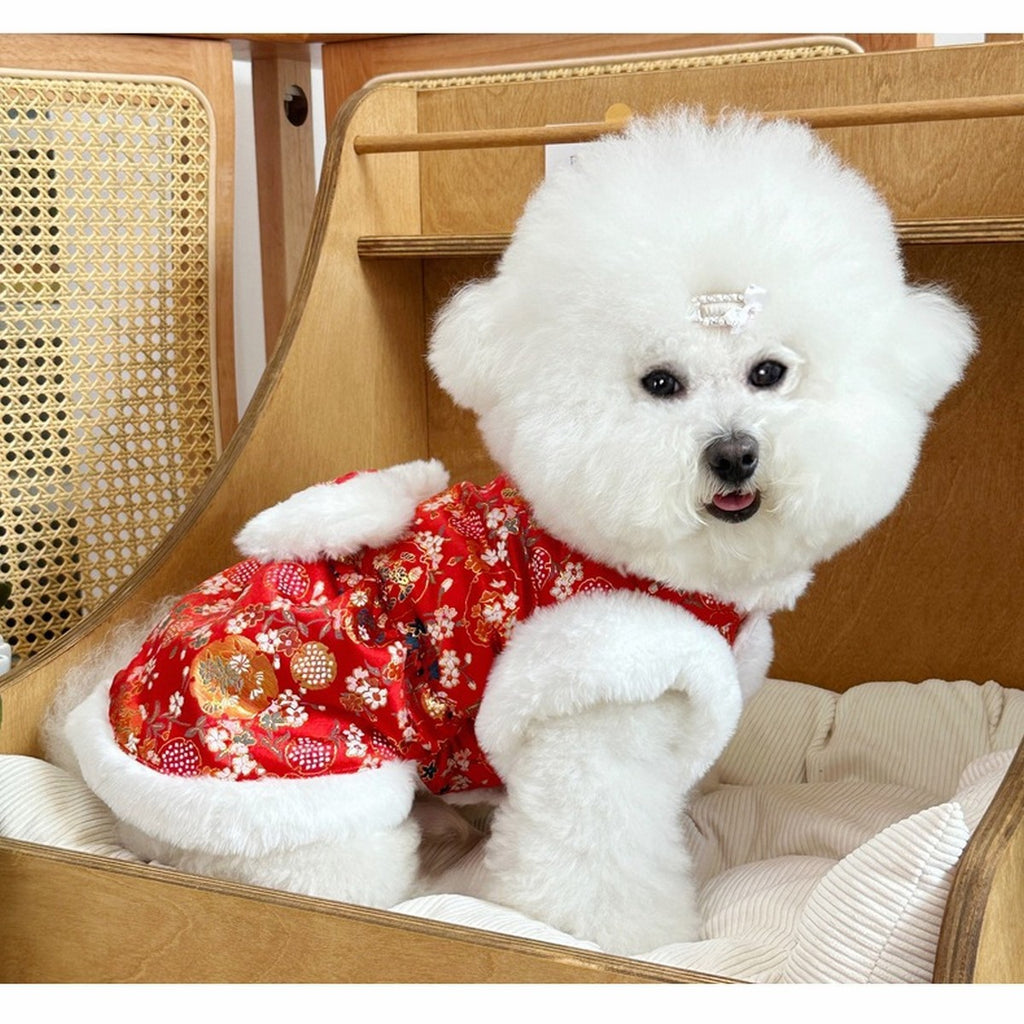 European Style Thick Dog Hoodie Small Dogs_CWMM12252