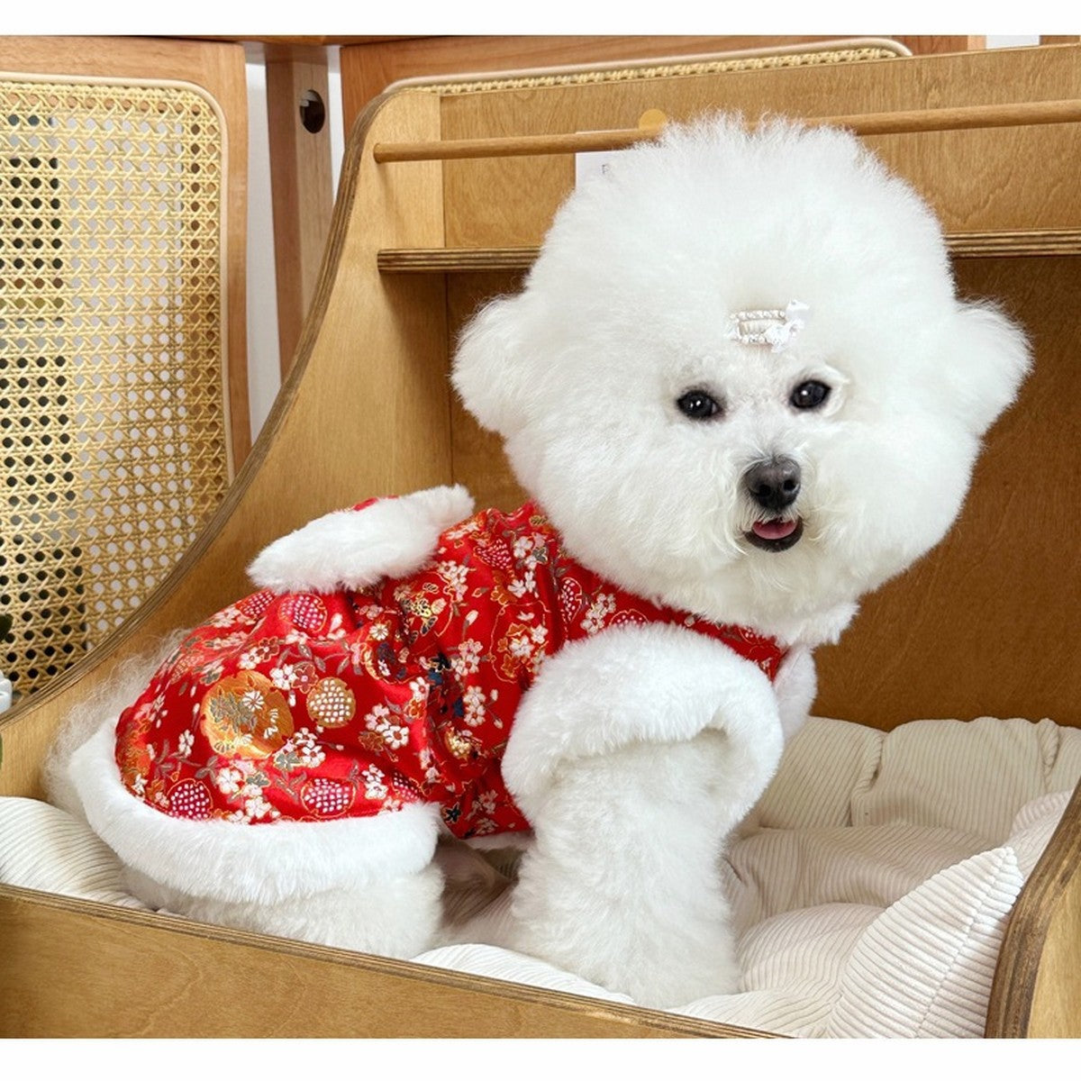 European Style Thick Dog Hoodie Small Dogs_CWMM12252