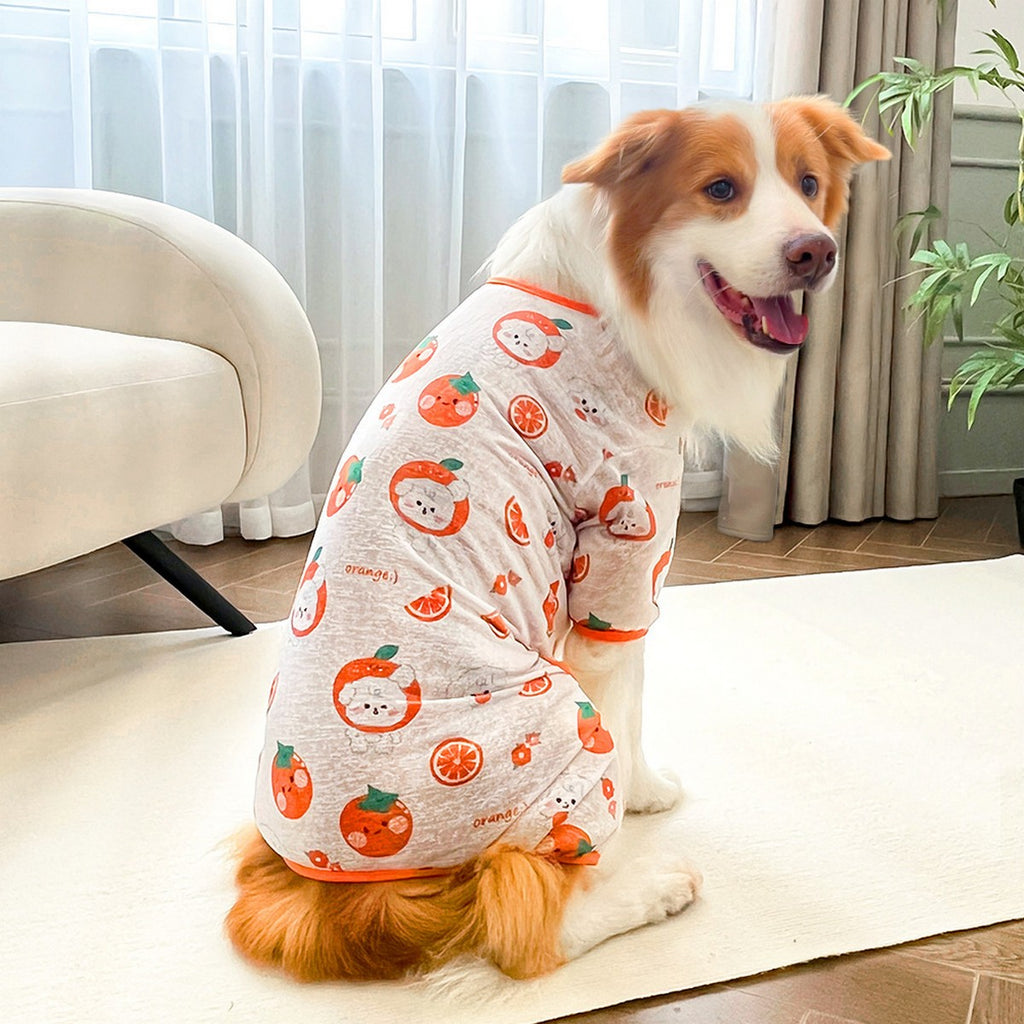 Spring Summer Cat & Dog Rompers_CWMM11132