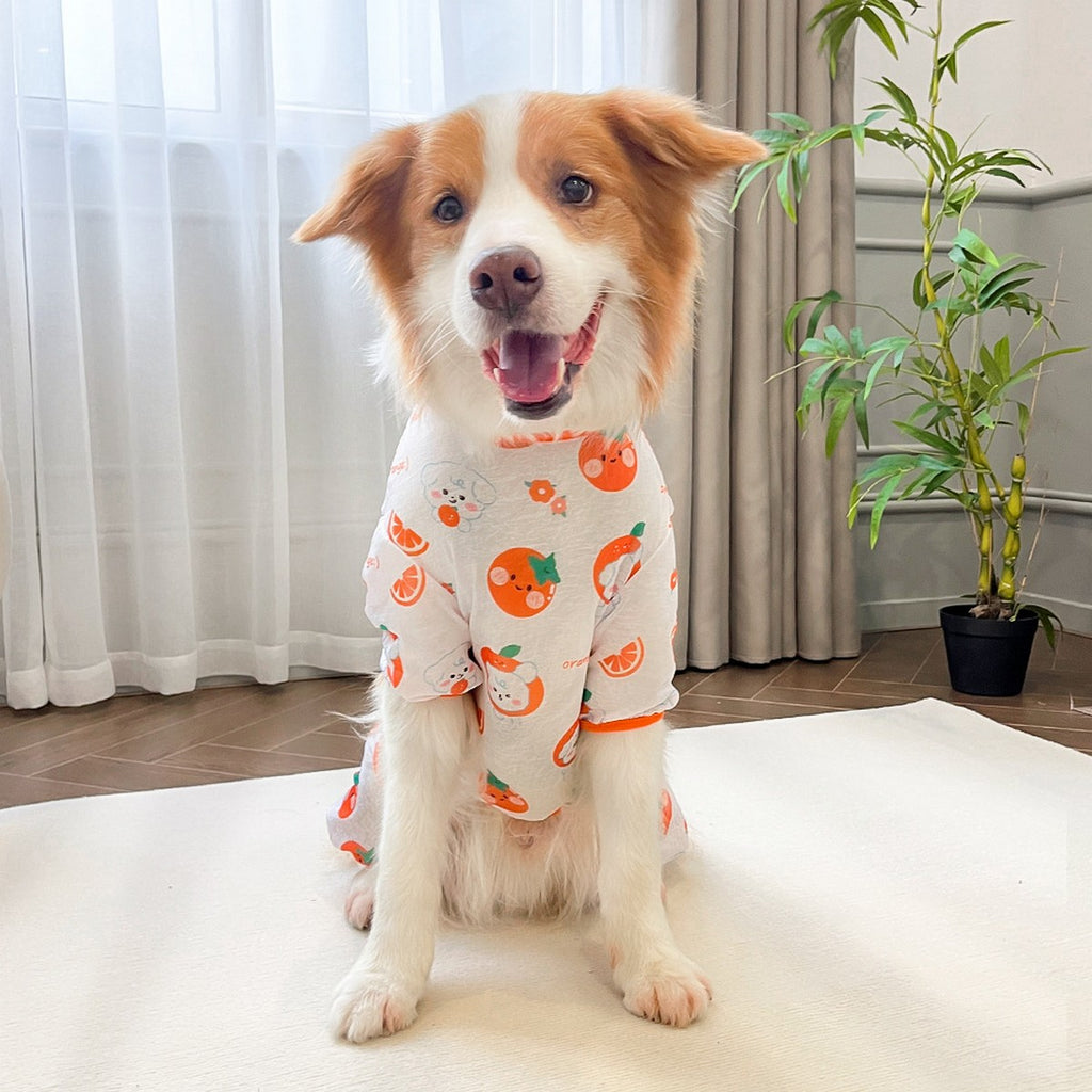 Spring Summer Cat & Dog Rompers_CWMM11132