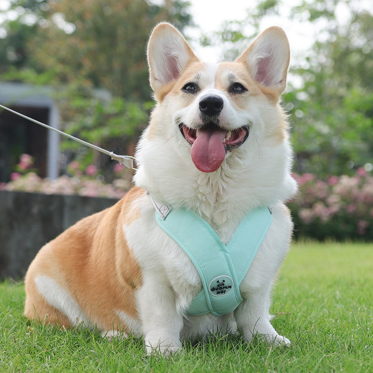 Dog Vest Harness with Reflective Walking Leash_CWMM12568