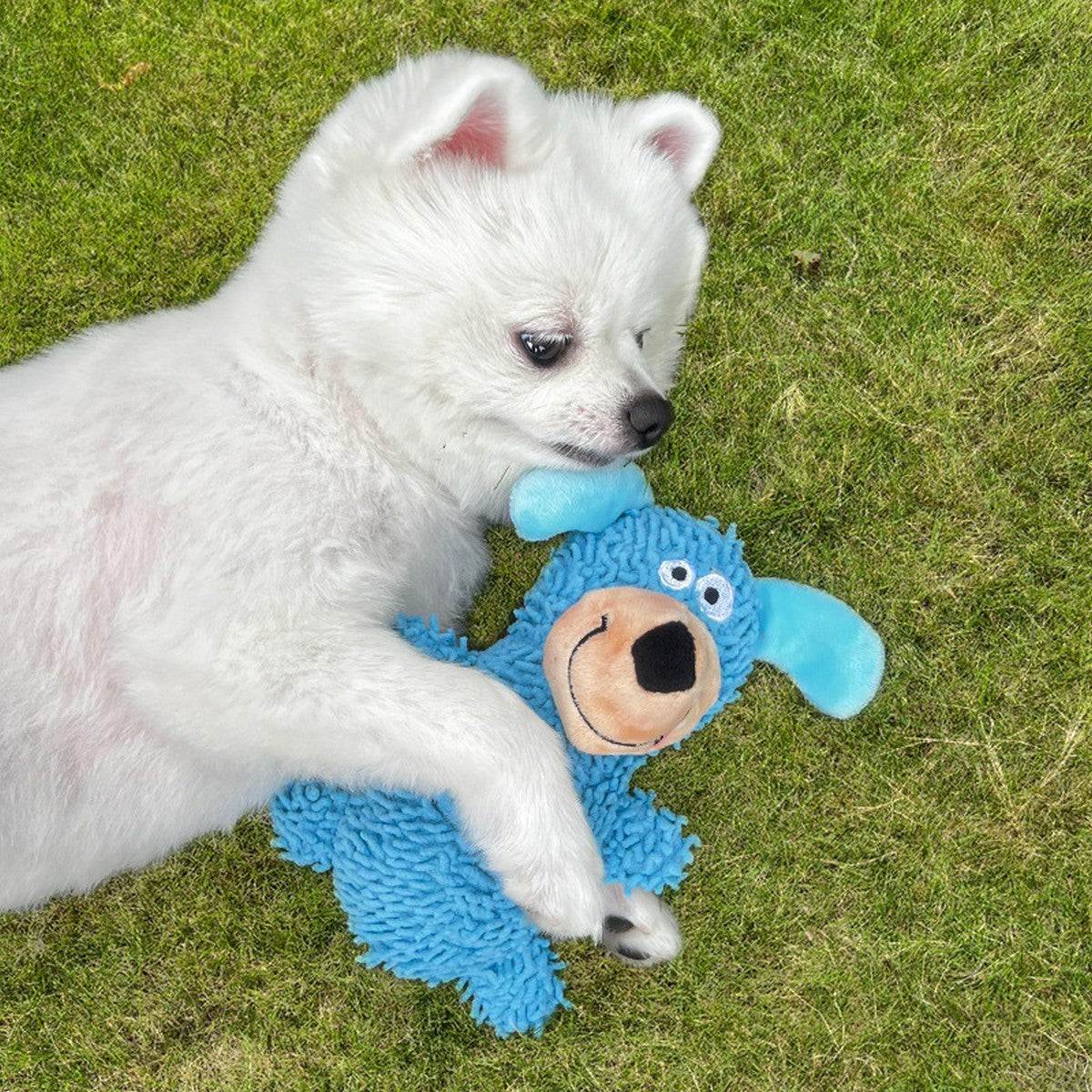 Cartoon Pet Toy – Squeaky Mop Plush Dog Toy_CWMM11163