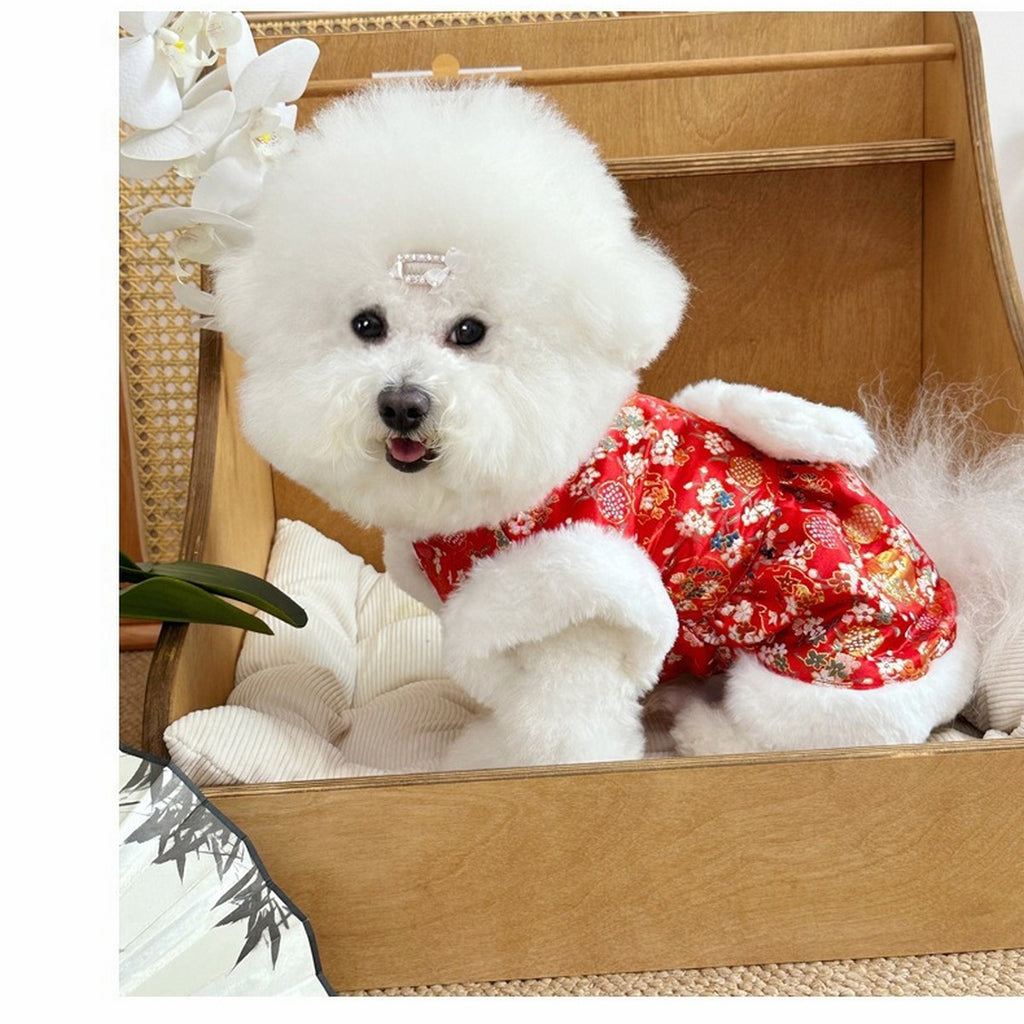 European Style Thick Dog Hoodie Small Dogs_CWMM12252