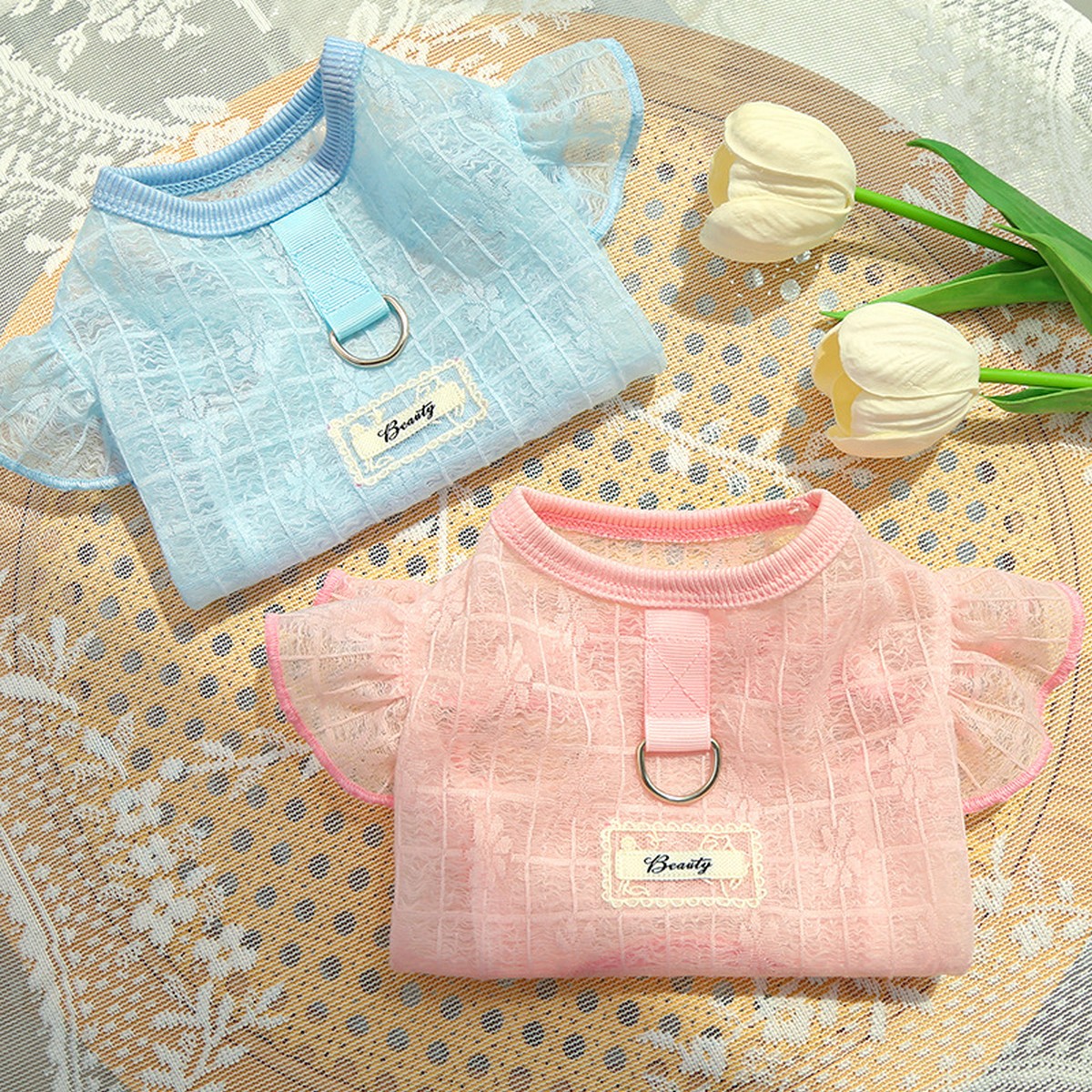 Flutter Sleeve Top with Soft Stretch_CWMM11127