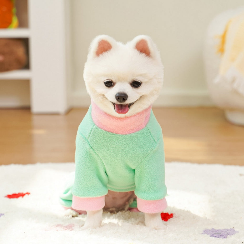 Colorblock Pet Jumpsuit with Leash Ring_CWMM11180