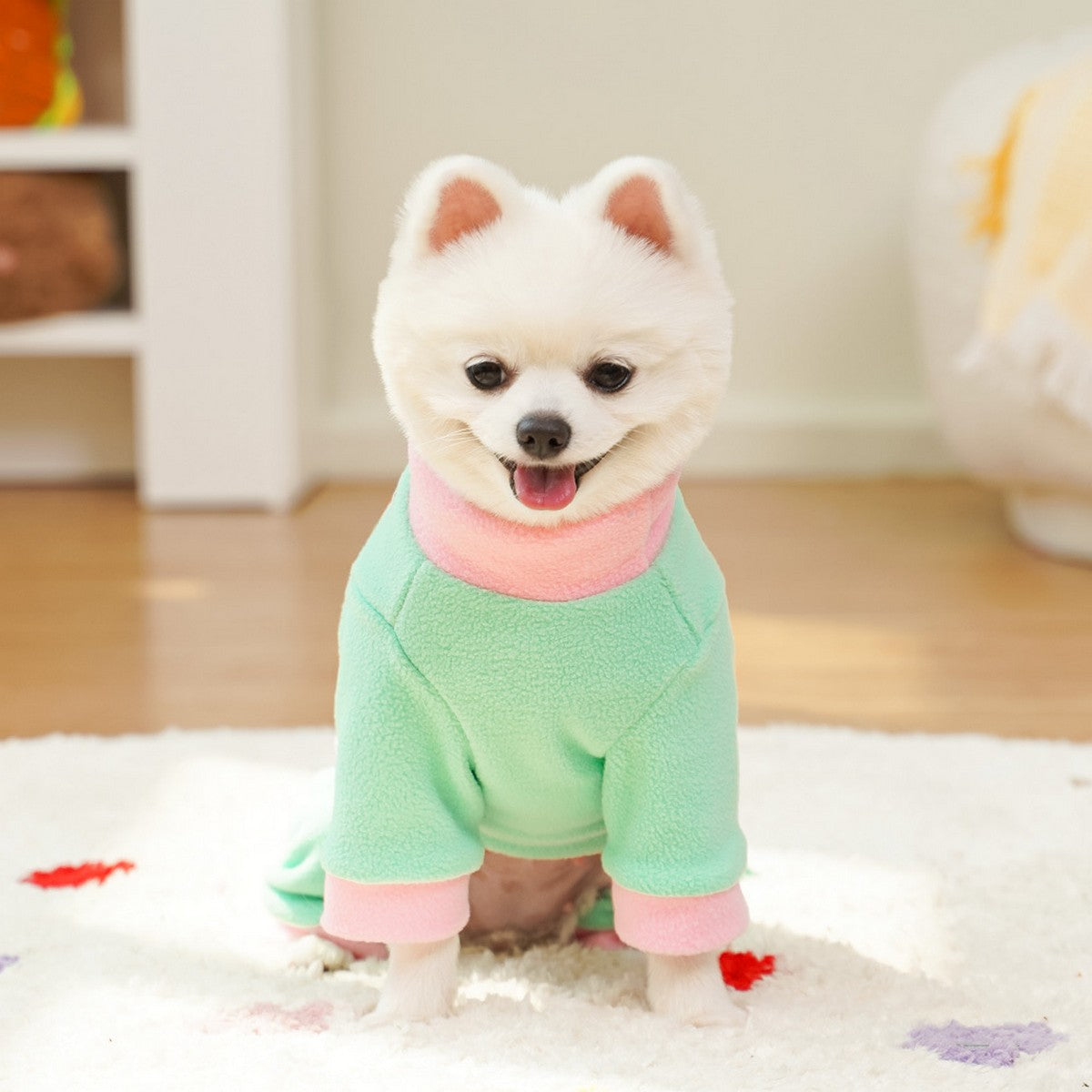 Colorblock Pet Jumpsuit with Leash Ring_CWMM11180