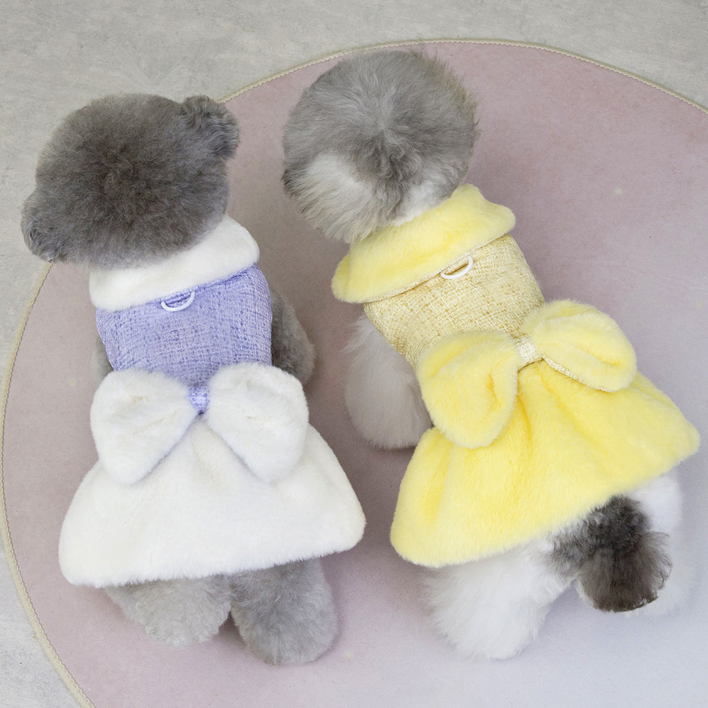 Teddy Bichon Dog Winter Princess Dress_CWMM12201