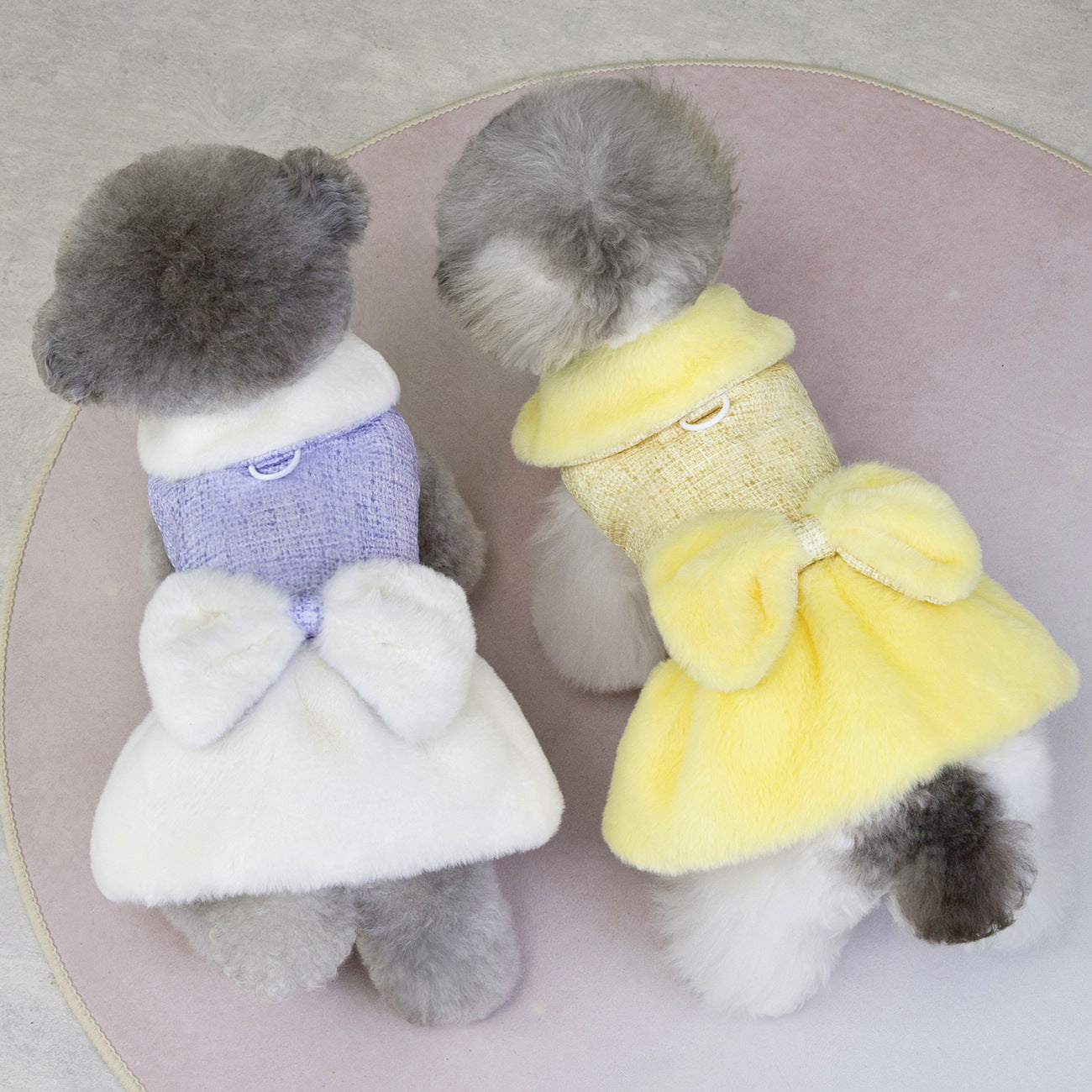 Teddy Bichon Dog Winter Princess Dress_CWMM12201