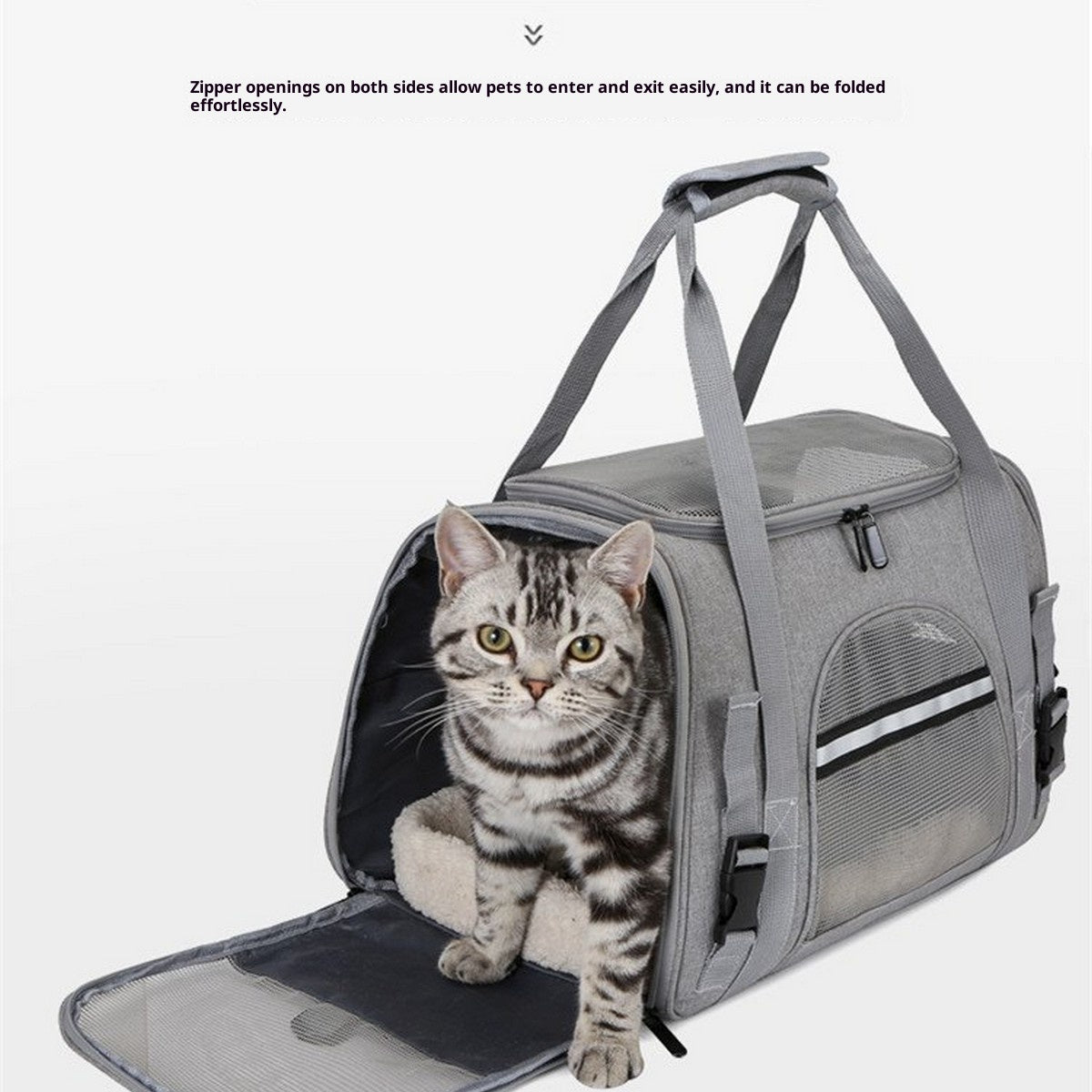 Lightweight Pet Carrier for Travel and Car Use_CWMM12936