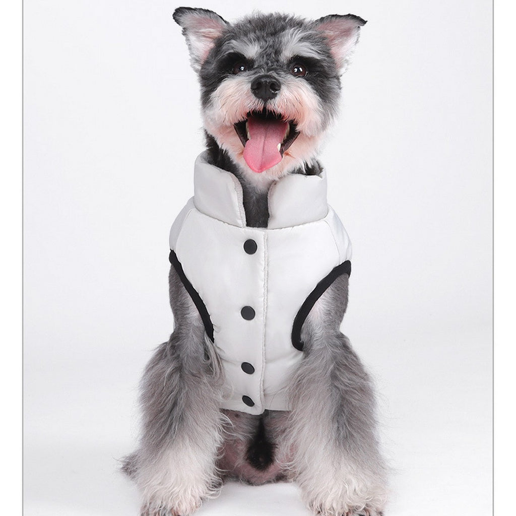 Winter Windproof Dog Coat for Outdoor Wear_CWMM12404