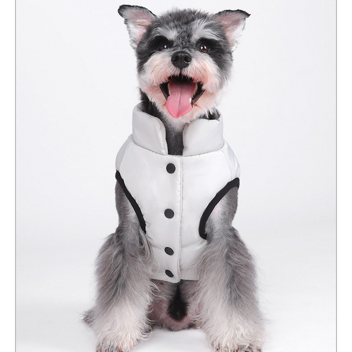 Winter Windproof Dog Coat for Outdoor Wear_CWMM12404