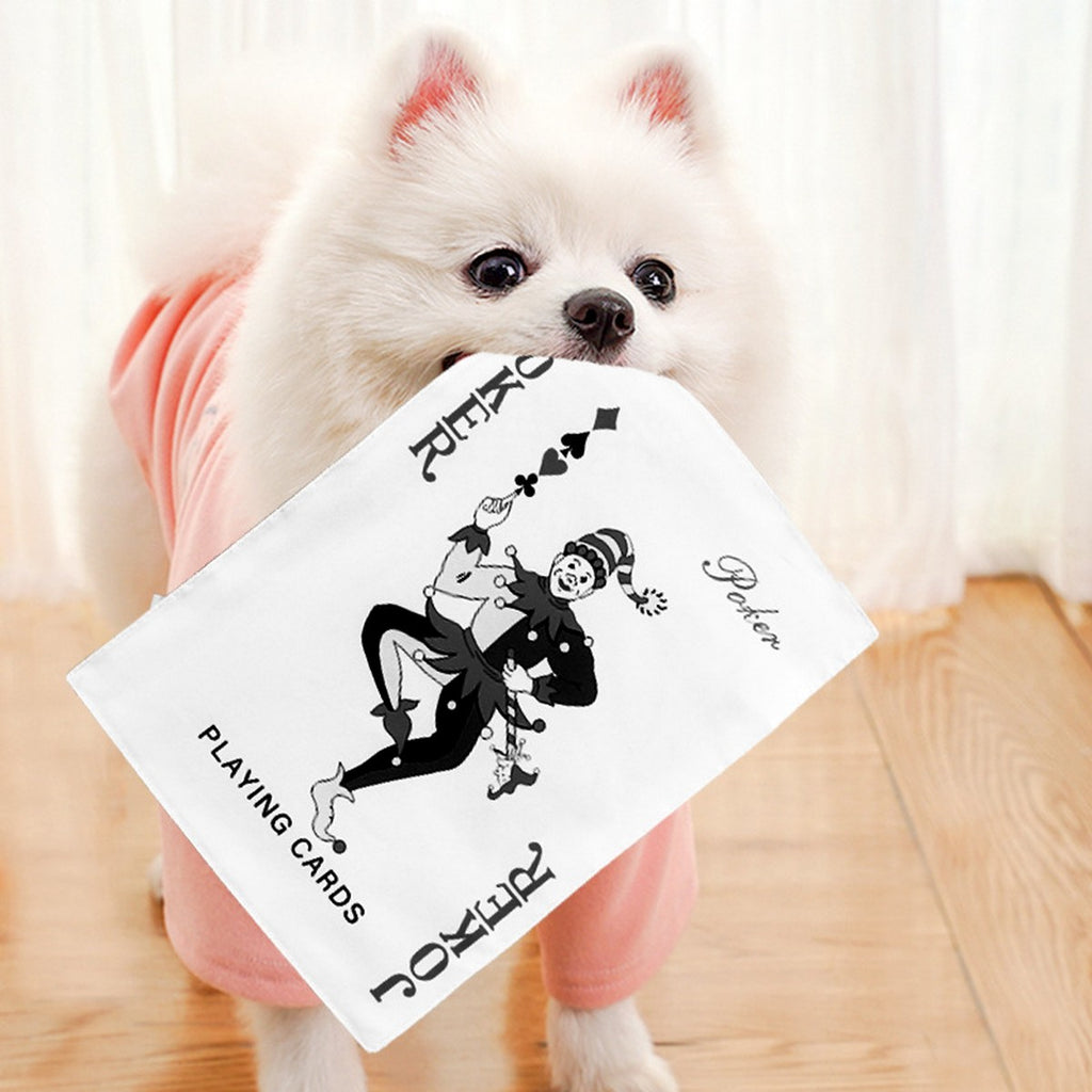 Funny Newspaper & Poker Pet Toy – Squeaky Sound_CWMM11065