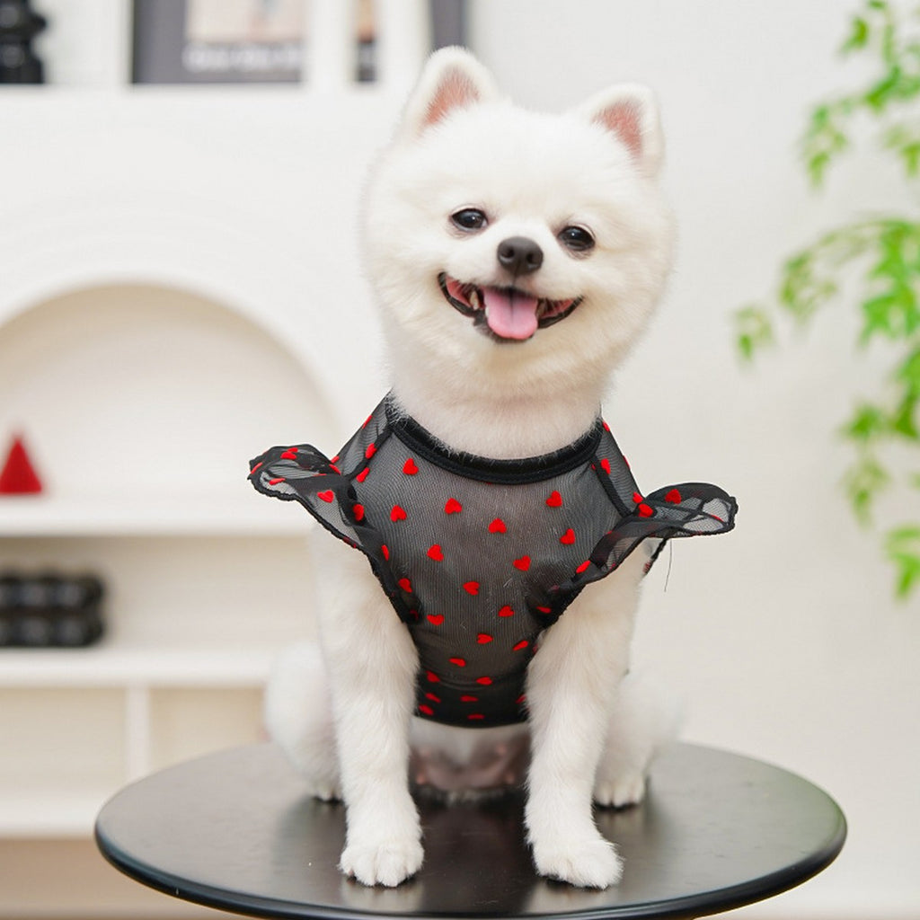 Airy Mesh & Flutter Sleeve Design_CWMM11125