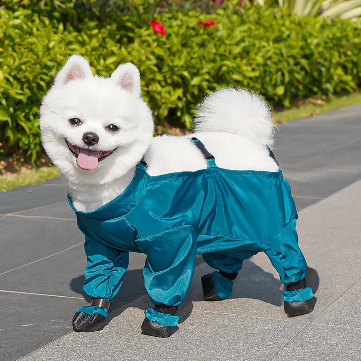 Pet Outdoor Pants – Dog Rainwear for Small Dogs_CWMM11087