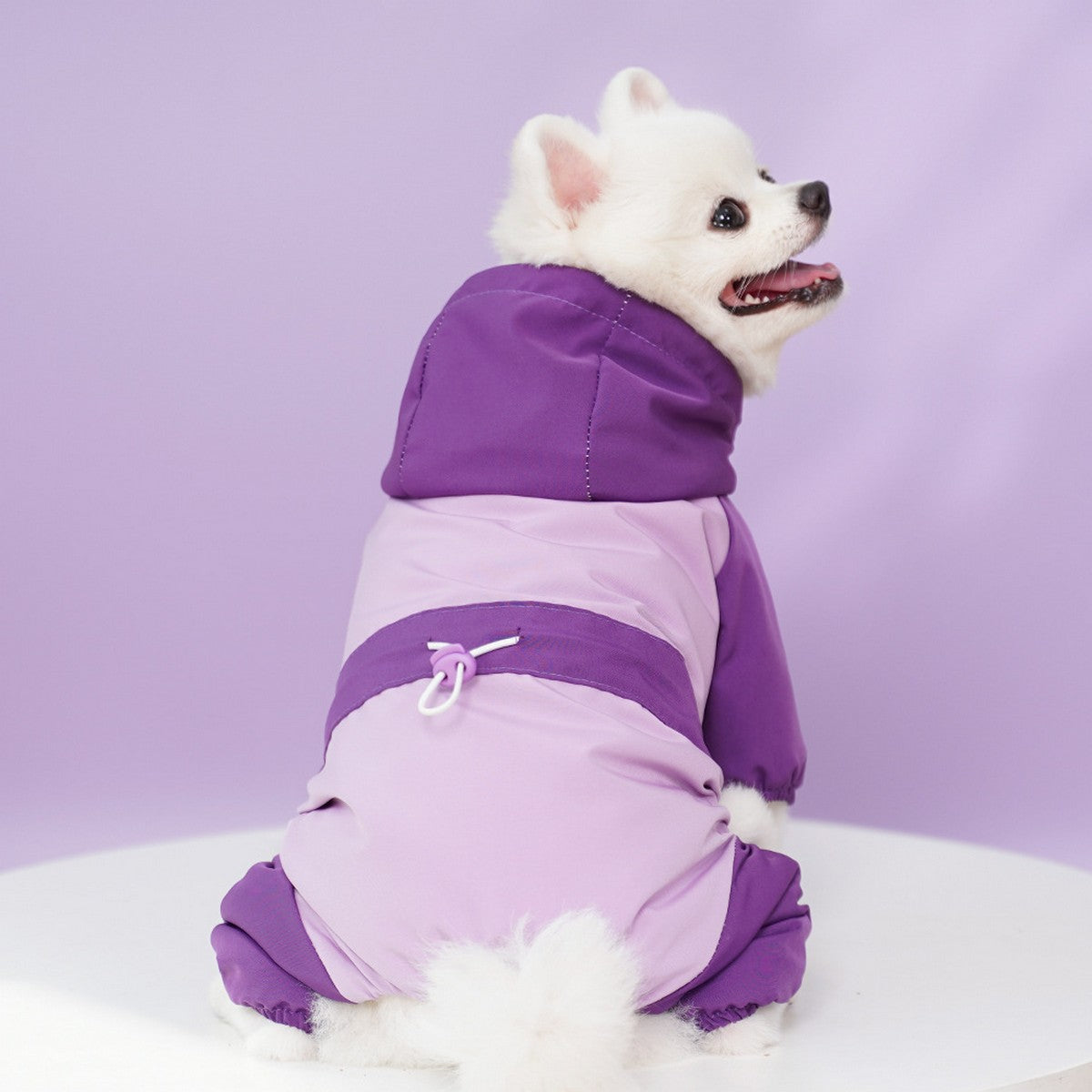 Waterproof 4-Leg Winter Jacket for Large Dogs_CWMM11079