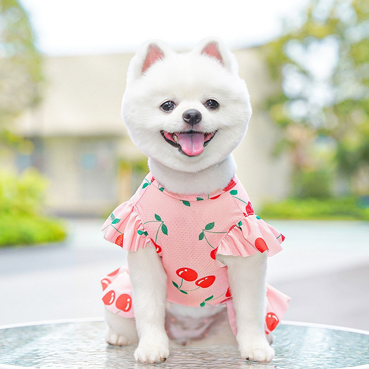 Summer Pet Dress – Ice Silk Cool Floral Outfit_CWMM11118