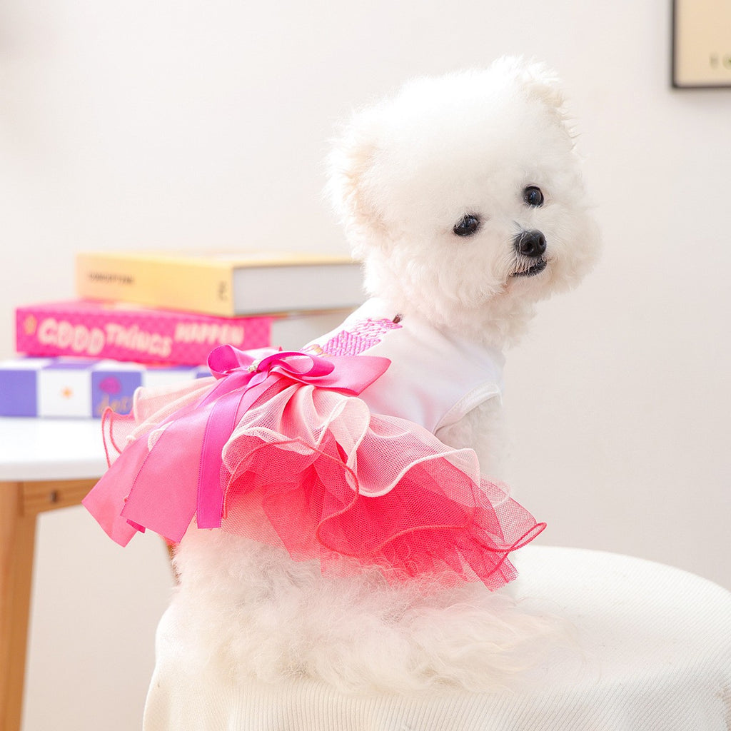 Puppy Kitten Warm Puff Dress Outfit_CWMM13040