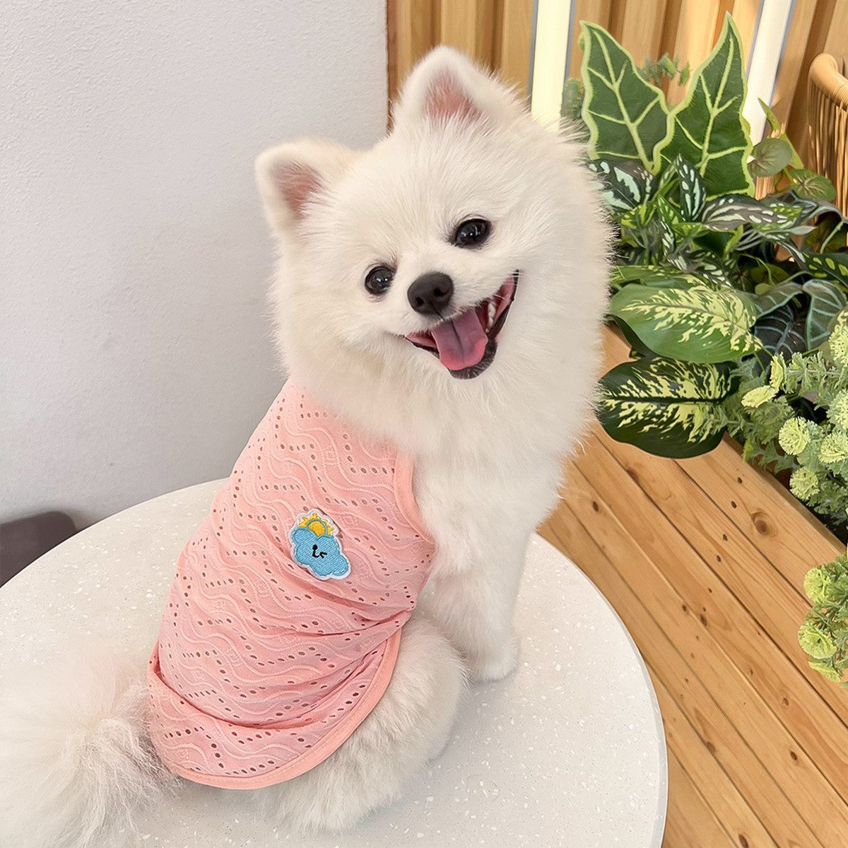 Wholesale Puppy Sleeveless Clothes  For Small Medium Dogs_CWMM11136