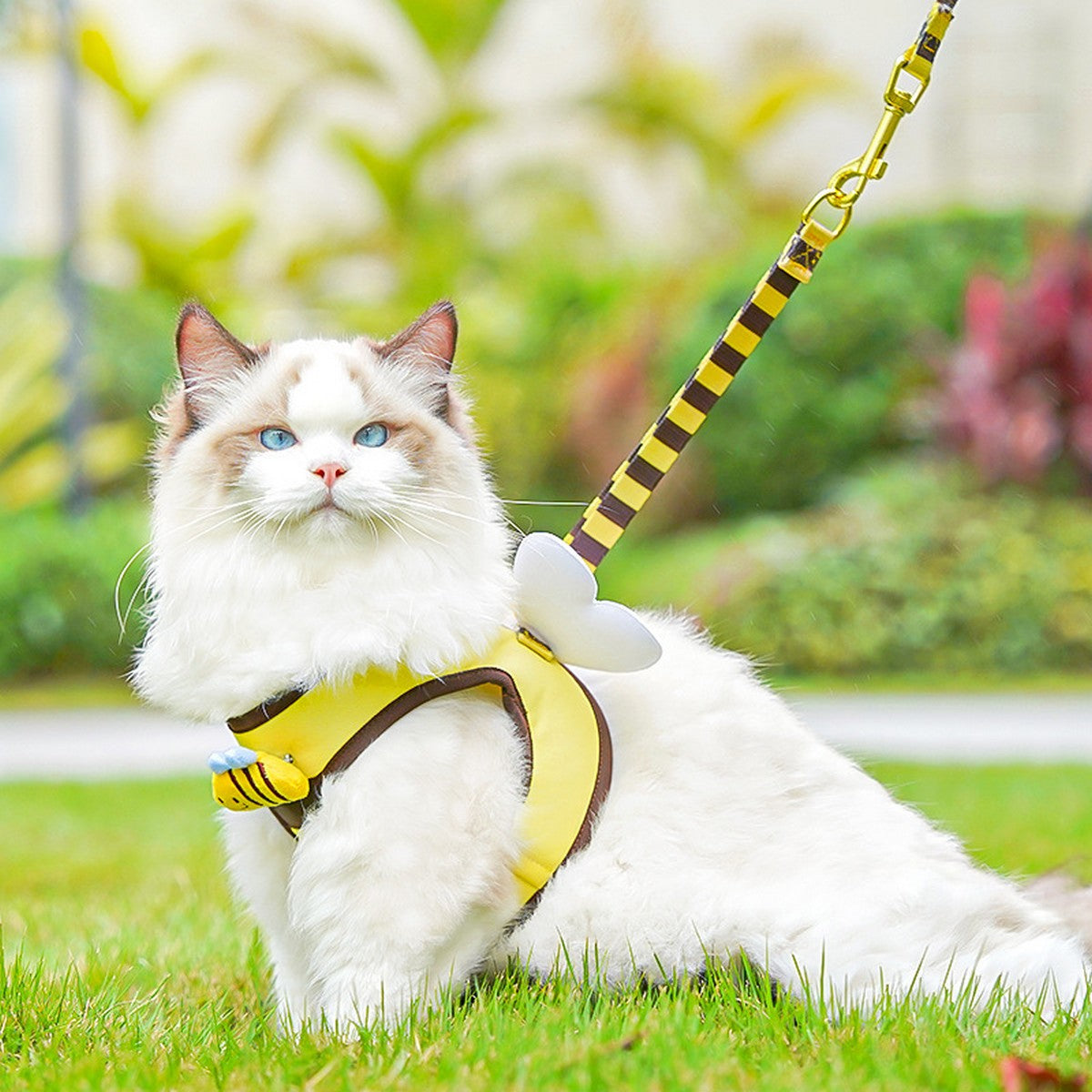 Bee Pet Harness Set – Cute Dog Cat Leash Outfit_CWMM11161