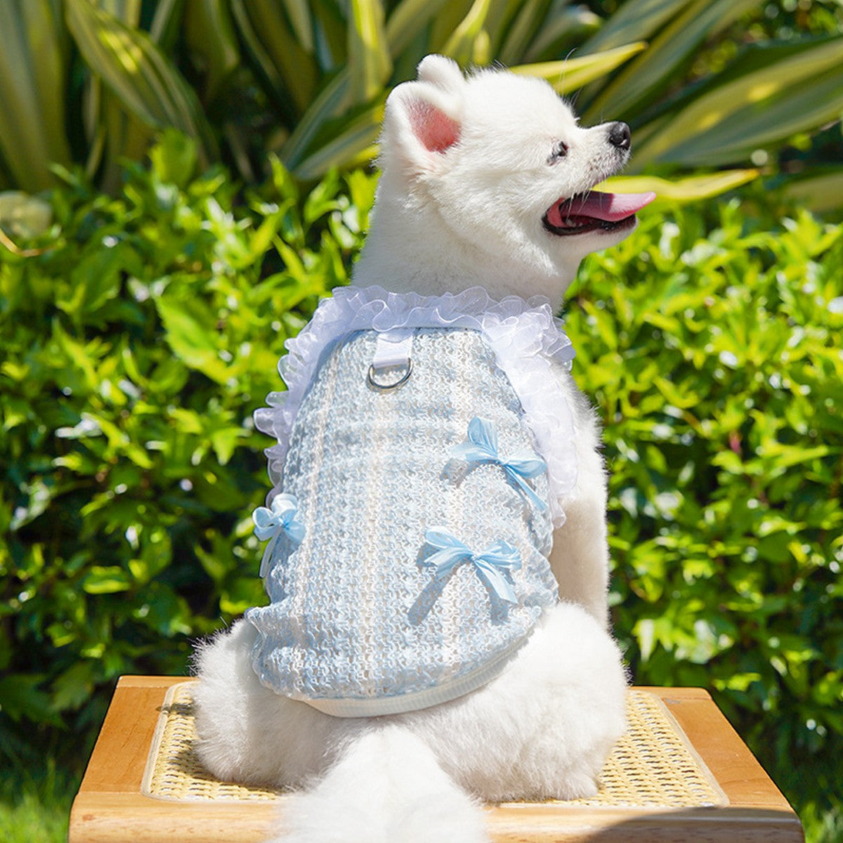 Lace Pet Vest – Hollow Ruffle Summer Cami_CWMM11167