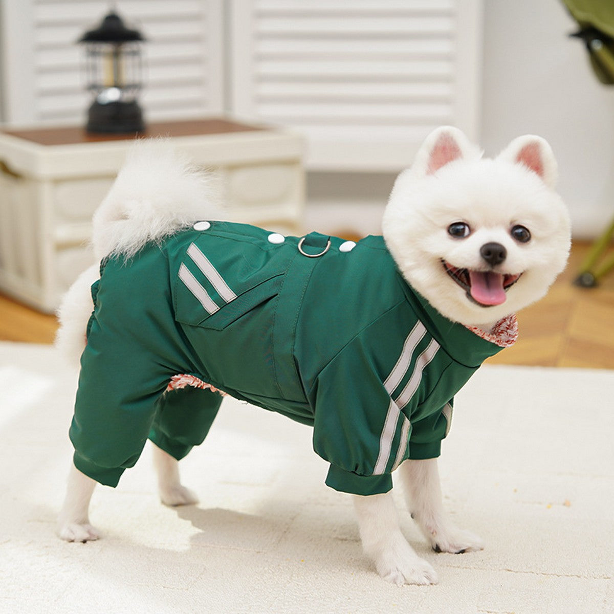 Waterproof Pet Jumpsuit – Warm Winter Coat_CWMM11171
