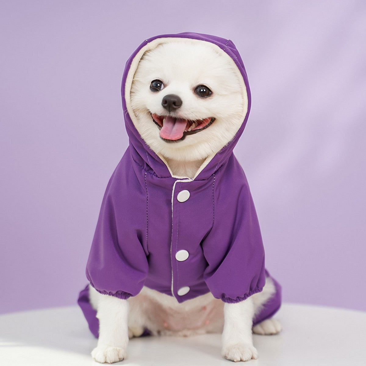 Waterproof 4-Leg Winter Jacket for Large Dogs_CWMM11079