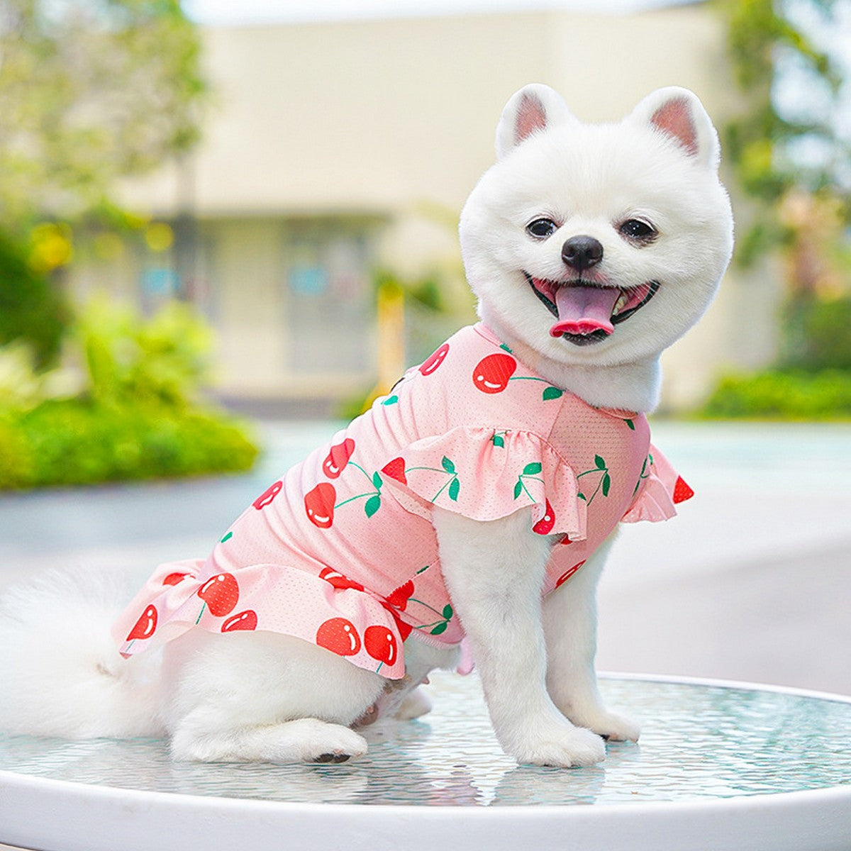 Summer Pet Dress – Ice Silk Cool Floral Outfit_CWMM11118