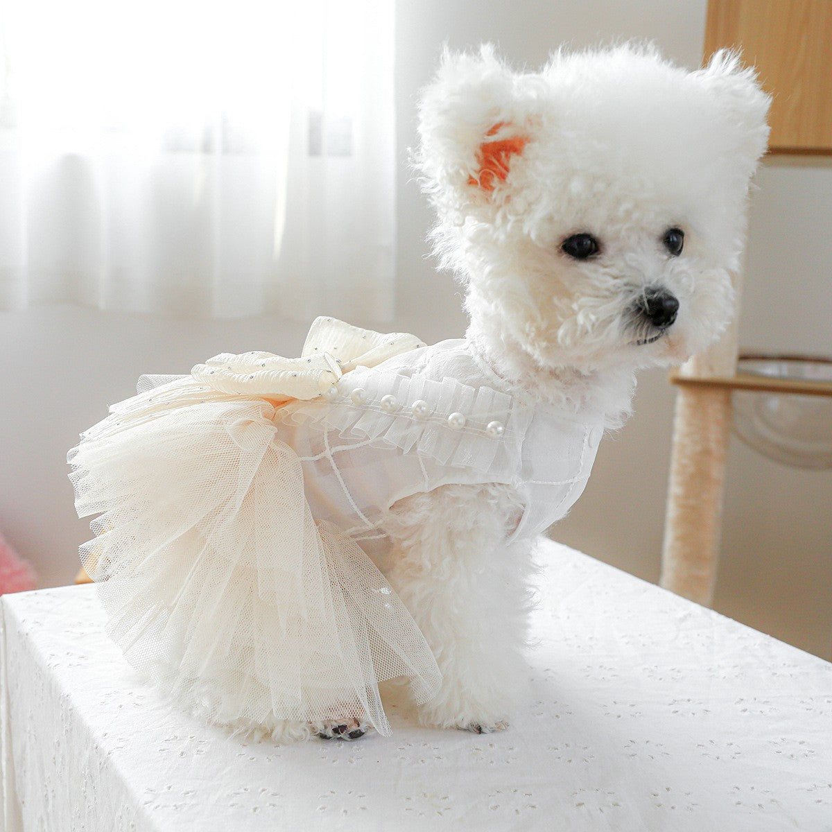 Pet Cozy Sissi Princess Wedding Skirt Dress_CWMM13041