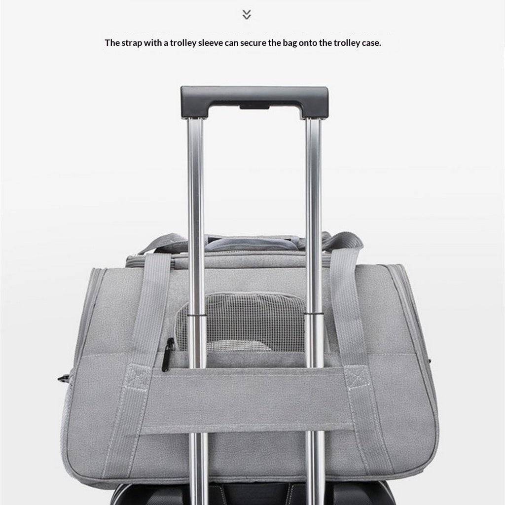Lightweight Pet Carrier for Travel and Car Use_CWMM12936