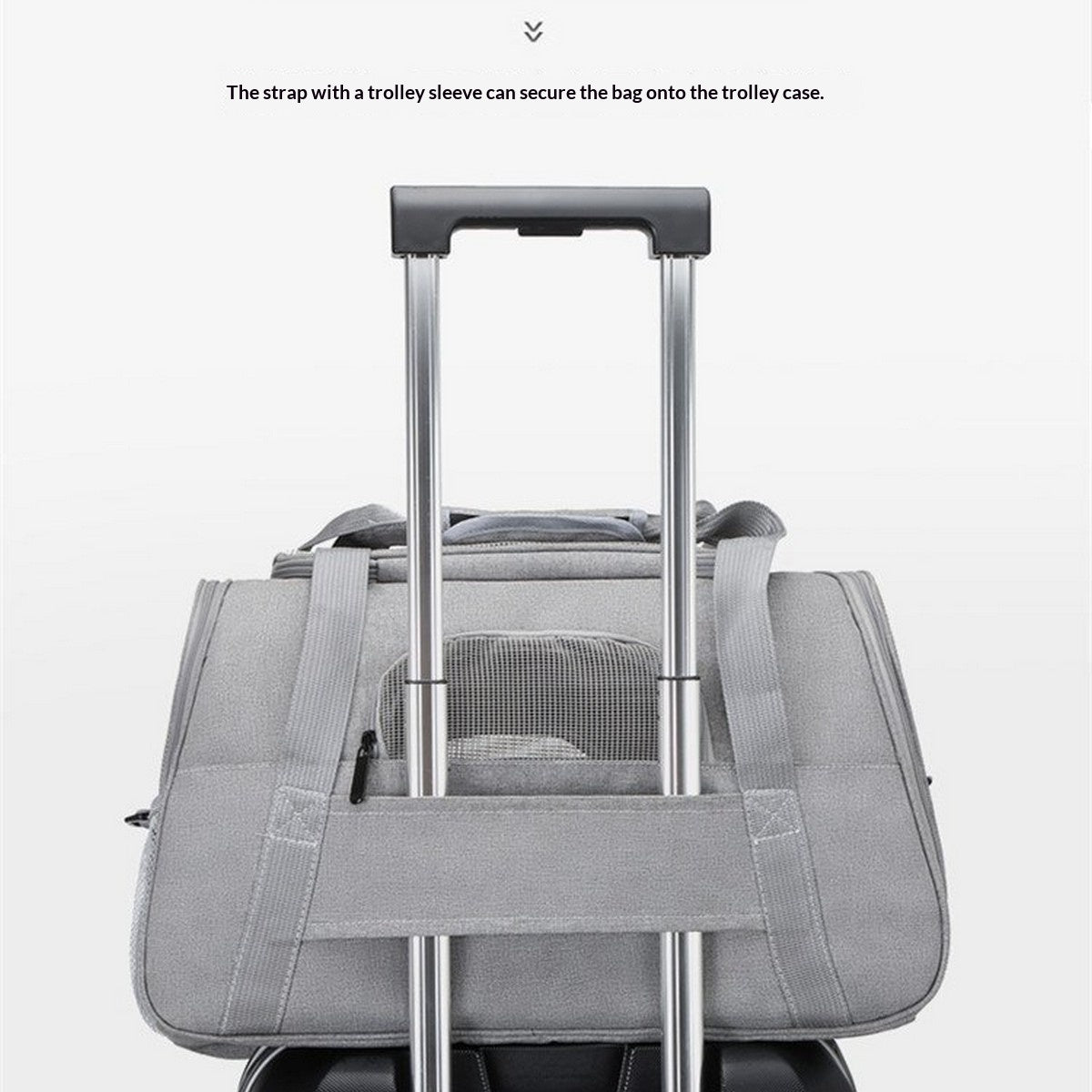 Lightweight Pet Carrier for Travel and Car Use_CWMM12936