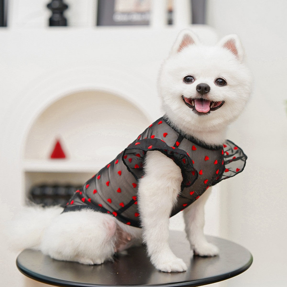 Airy Mesh & Flutter Sleeve Design_CWMM11125