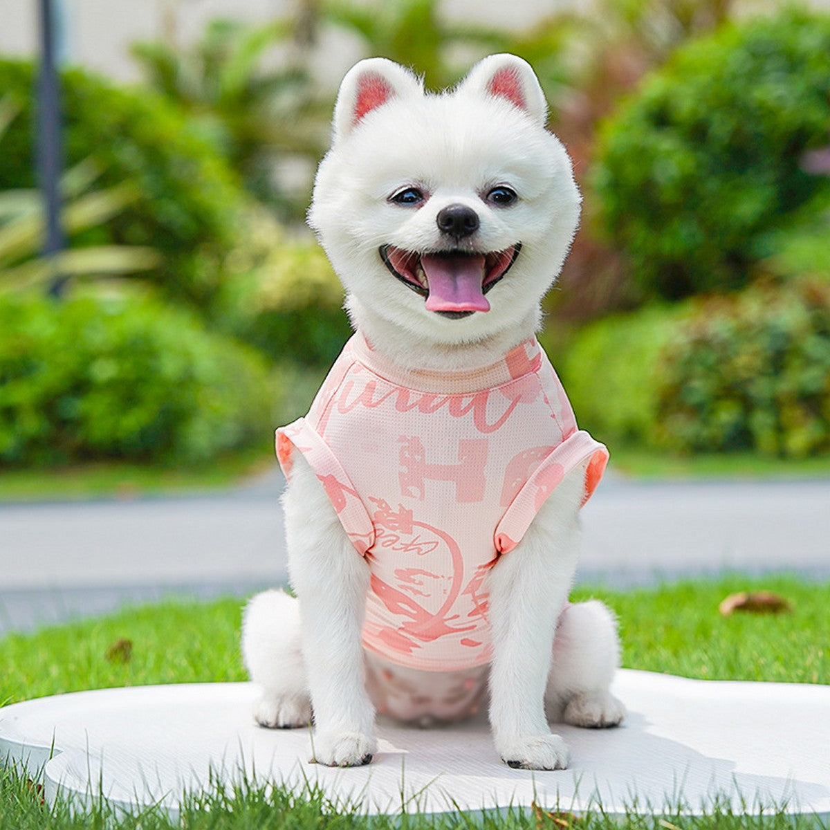 Cool Pet Tank Top – Breathable Cat Dog Outfit_CWMM11273