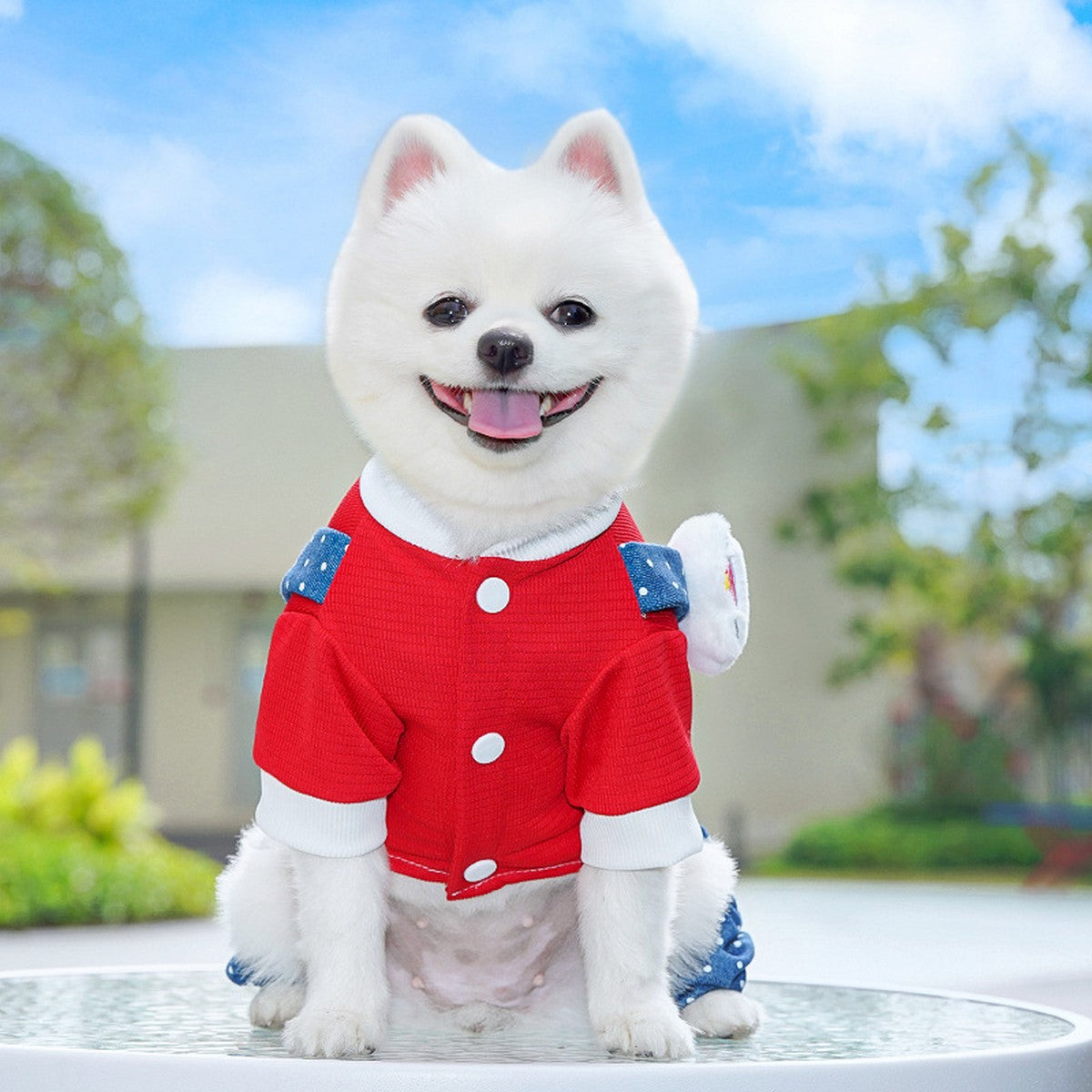 Denim Pet Jumpsuit – Dog Cat Dot Harness Outfit_CWMM11306