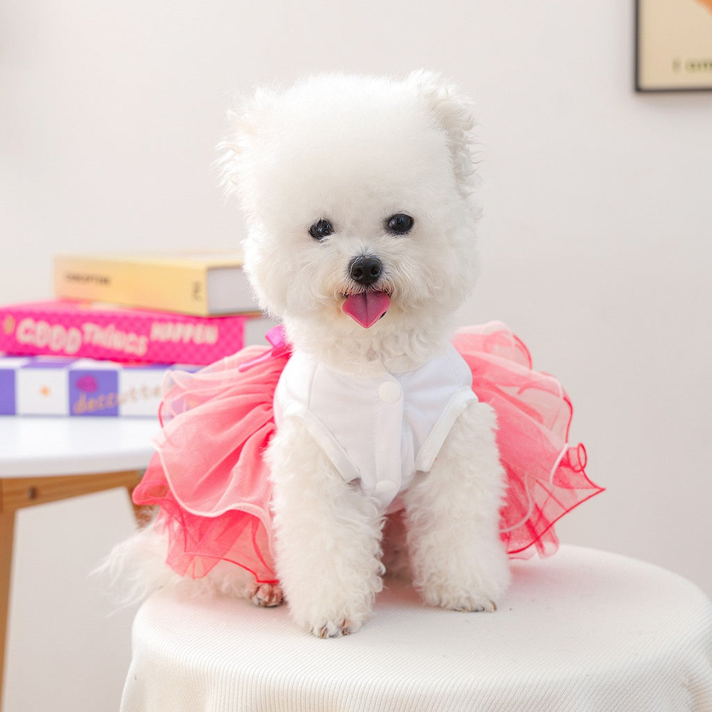 Puppy Kitten Warm Puff Dress Outfit_CWMM13040
