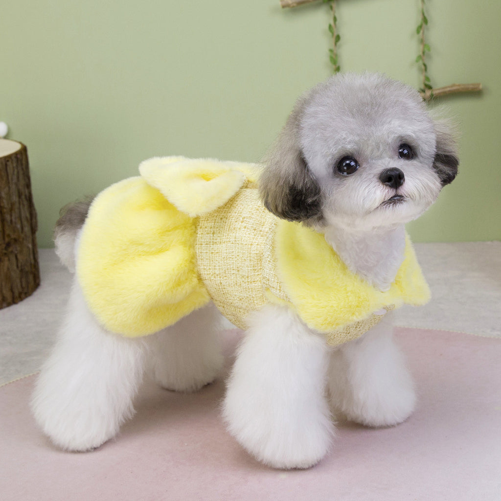 Teddy Bichon Dog Winter Princess Dress_CWMM12201
