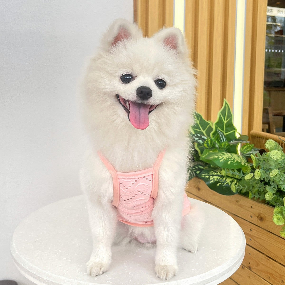 Wholesale Puppy Sleeveless Clothes  For Small Medium Dogs_CWMM11136