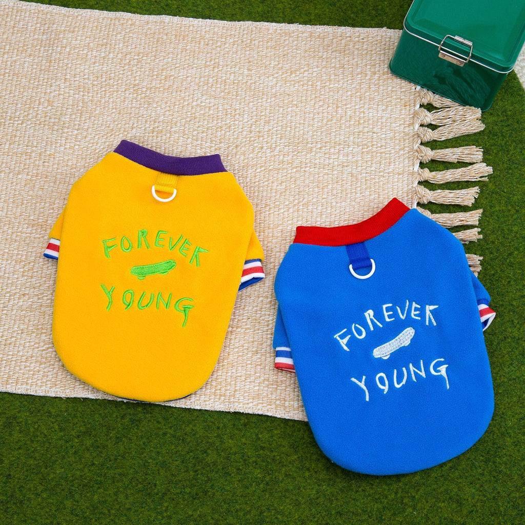 Warm Fleece Dog Hoodie for Small Dogs_CWMM12198