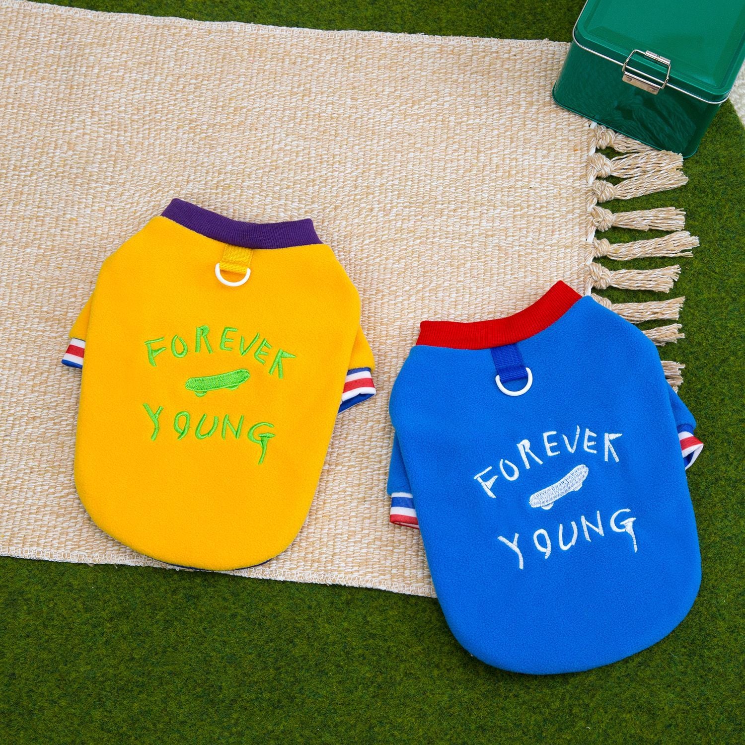 Warm Fleece Dog Hoodie for Small Dogs_CWMM12198