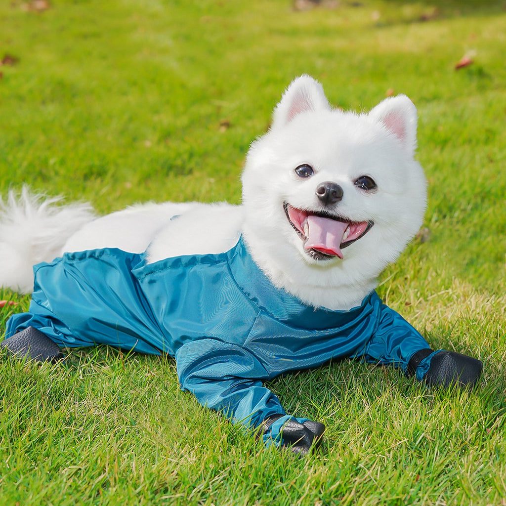 Pet Outdoor Pants – Dog Rainwear for Small Dogs_CWMM11087