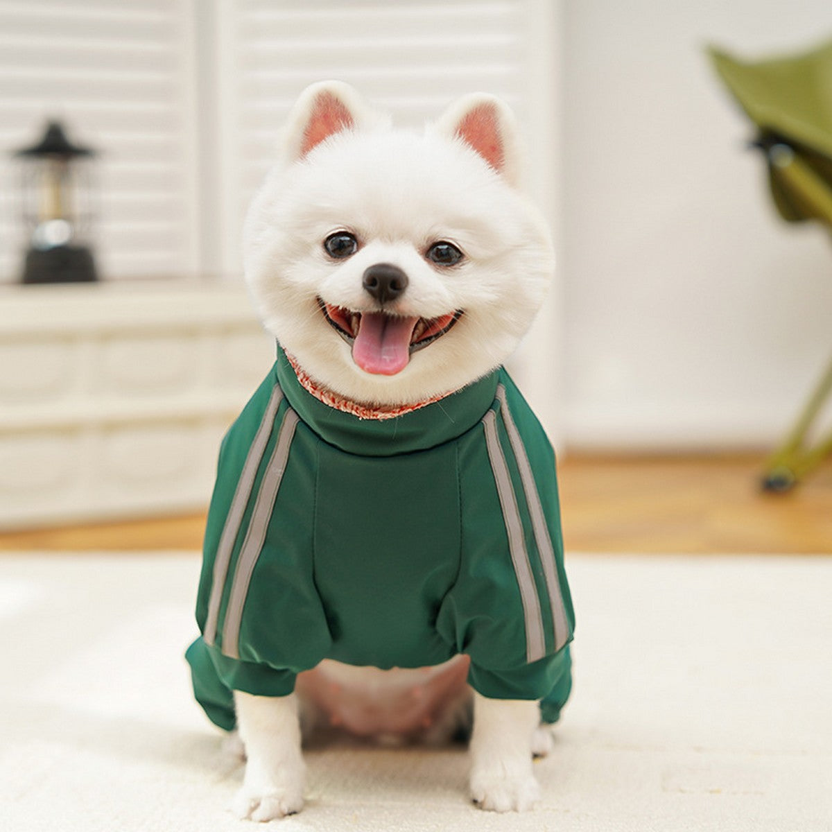 Waterproof Pet Jumpsuit – Warm Winter Coat_CWMM11171