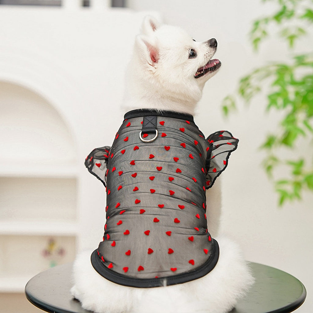 Airy Mesh & Flutter Sleeve Design_CWMM11125