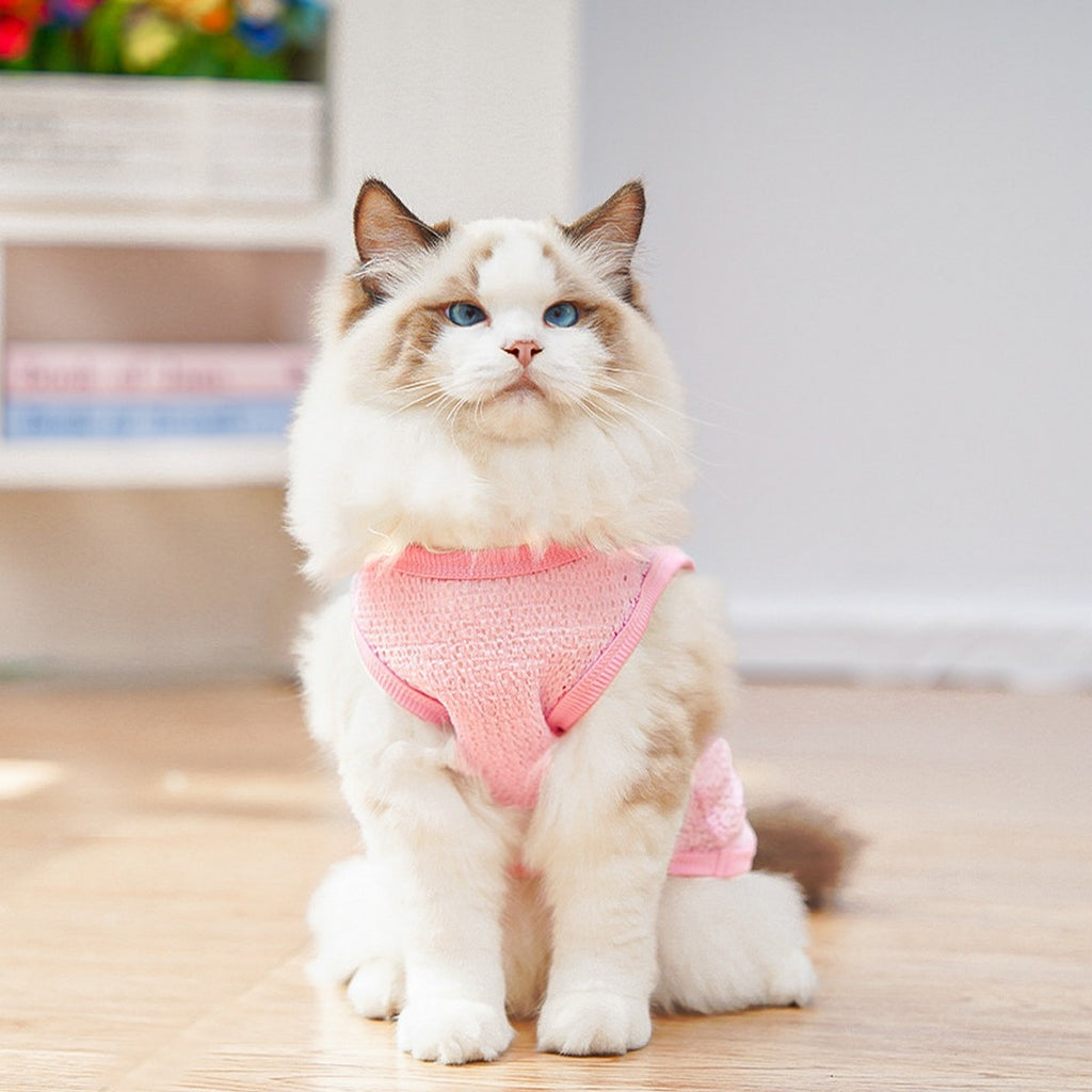 Mesh Pet Vest – Breathable Stretch Summer Top_CWMM11229