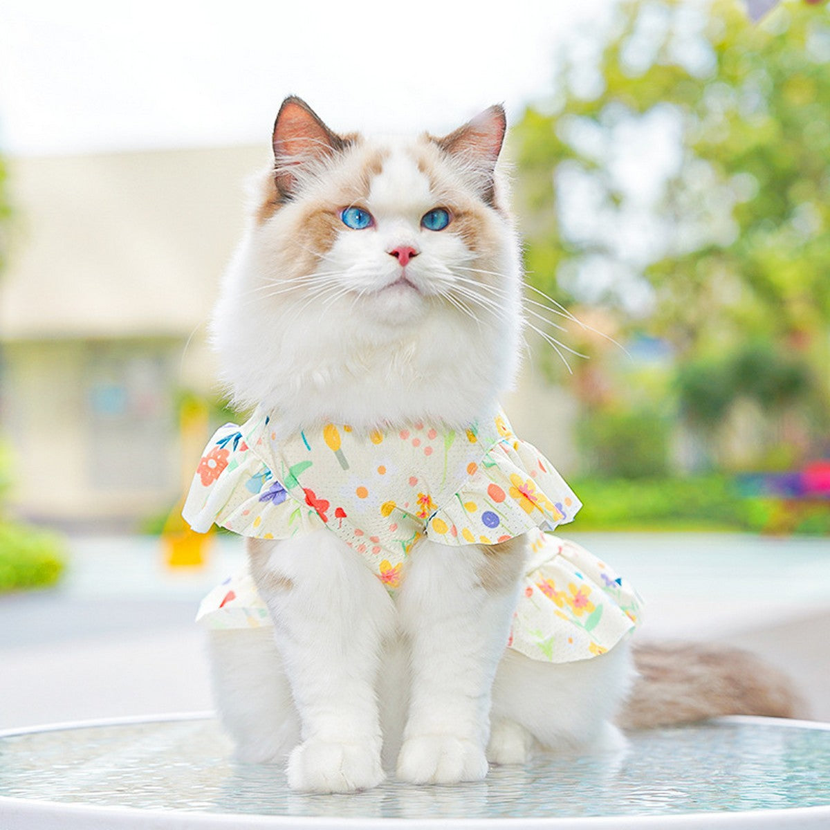 Summer Pet Dress – Ice Silk Cool Floral Outfit_CWMM11118