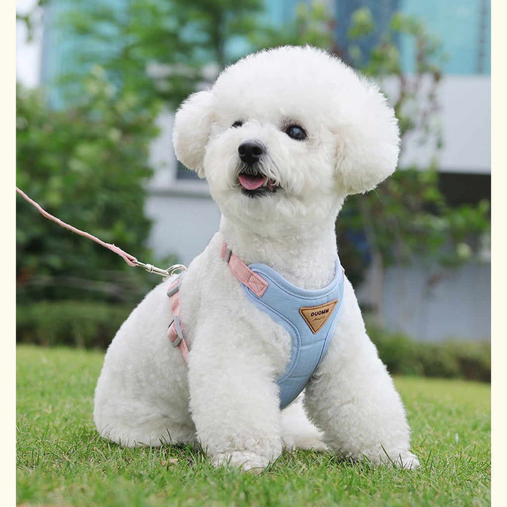 Small Dog Harness with Leash, Secure Fit_CWMM12567