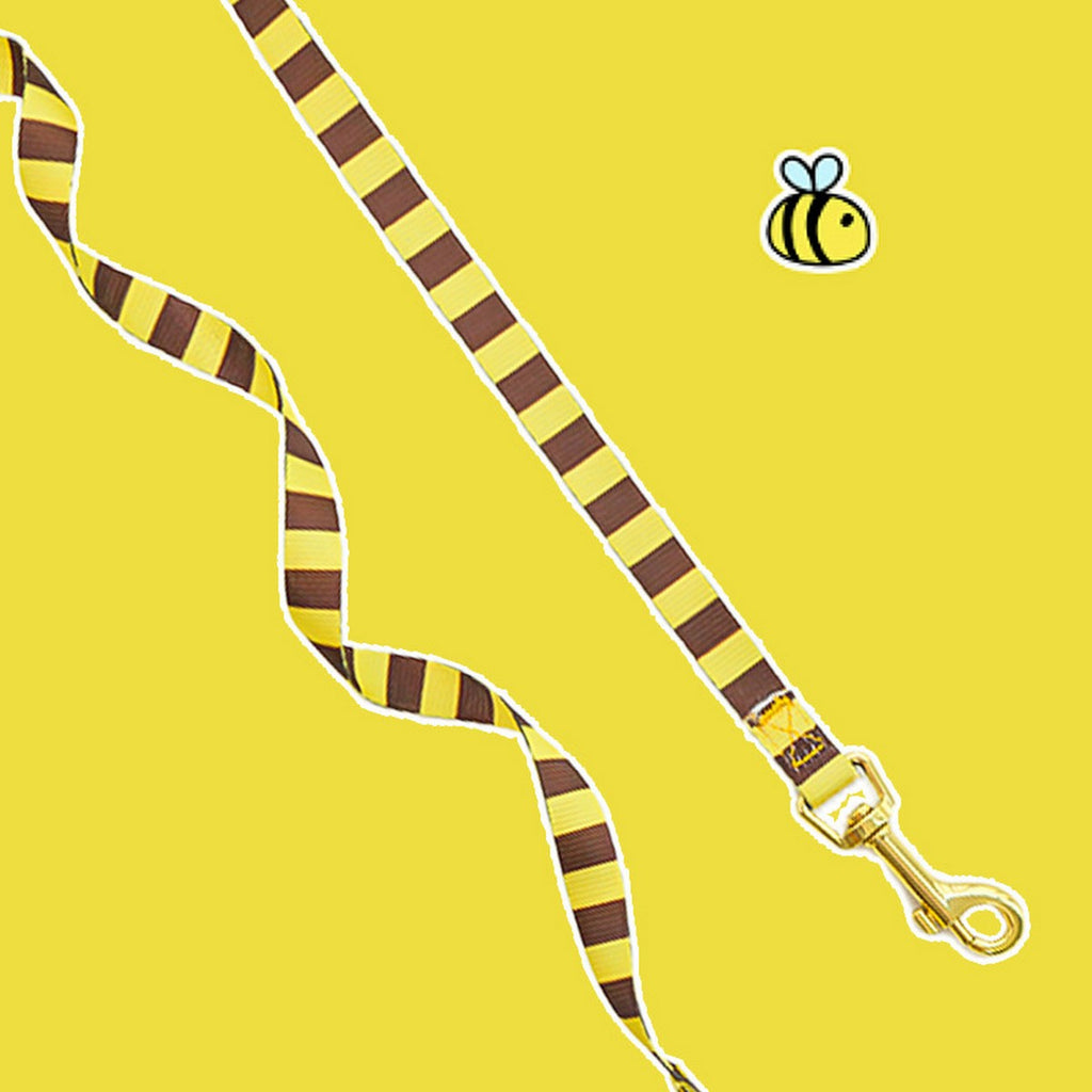 Bee Pet Harness Set – Cute Dog Cat Leash Outfit_CWMM11161