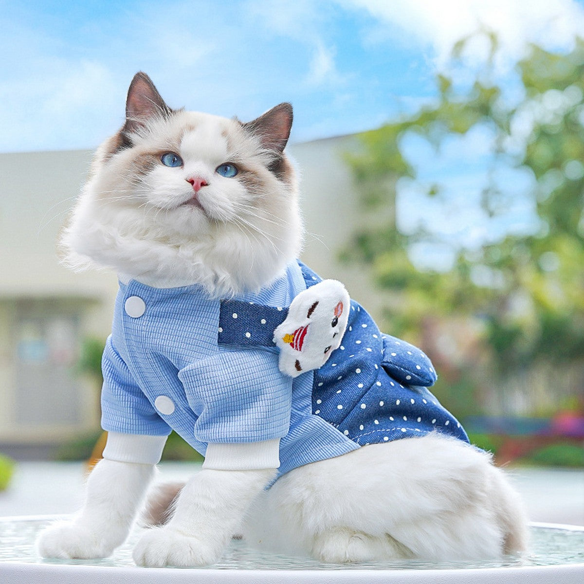 Denim Pet Outfit   Cute Polka Dot Jumpsuit Wear_CWMM11149